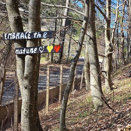 Shkreli Resort Qafeshtame Cudhi-Kamt المظهر الخارجي الصورة