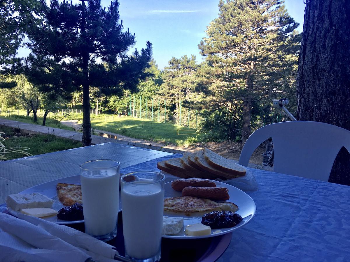 Shkreli Resort Qafeshtame Cudhi-Kamt المظهر الخارجي الصورة